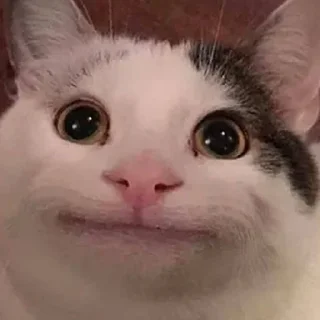 🌟 emoji Мемы Telegram sticker 19 of 19