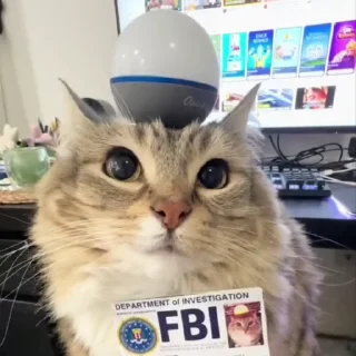 Sticker from ПОДПИШИСЬ НА @TRIXXOFFC КОТИКИ