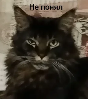 Sticker from Малфуша и Мишаня