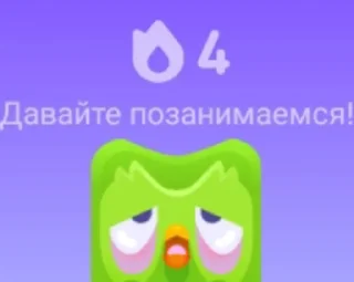 Sticker from Duolingo @sozdat_stikery_bot