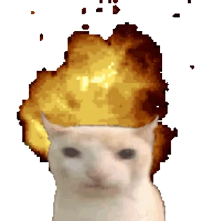 🤯 emoji 𝐾𝑖𝑡𝑡𝑒𝑛𝑠 𝟺 @xkysluv Telegram sticker 22 of 120