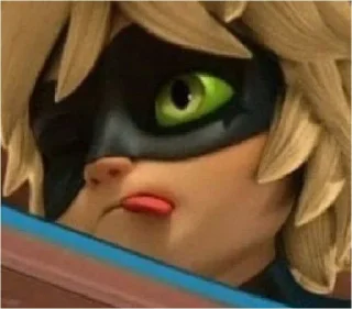 Sticker from Miraculous🐞
