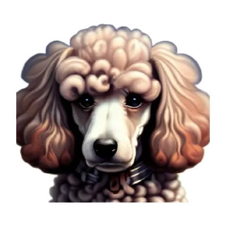 Sticker from Dogs & cats