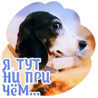 😚 emoji Dogs @stickersb2b Telegram sticker 10 of 18