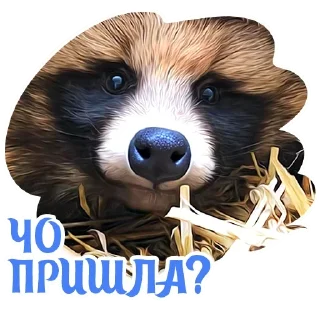 😏 emoji Dogs @stickersb2b Telegram sticker 6 of 18