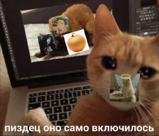 🙂 emoji B E R S E R K E Я - Чат Telegram sticker 24 of 48