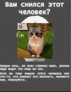 😃 emoji B E R S E R K E Я - Чат Telegram sticker 5 of 48