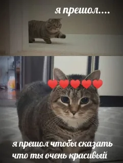 🤗 emoji алло?да Telegram sticker 21 of 92