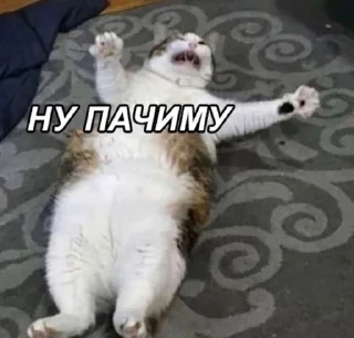 😭 emoji алло?да Telegram sticker 22 of 92