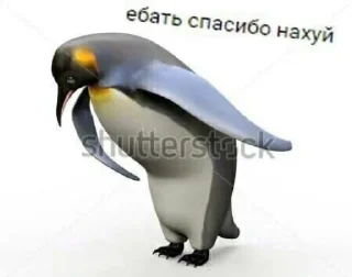 Sticker from Хуйня