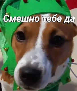 😑 emoji Пушок ван лав Telegram sticker 5 of 60