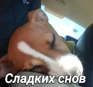 🌙 emoji Пушок ван лав Telegram sticker 17 of 60