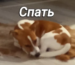 😴 emoji Пушок ван лав Telegram sticker 7 of 60