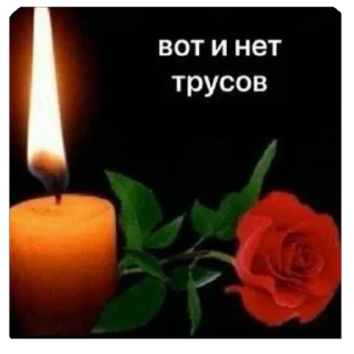 ачонахуйвыхотели sticker 4