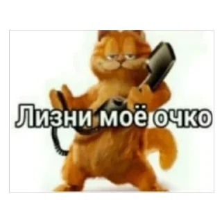 ачонахуйвыхотели sticker 3