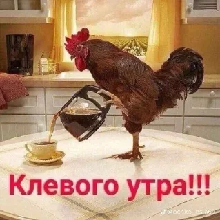 🐤 emoji важное|редкое Telegram sticker 15 of 119