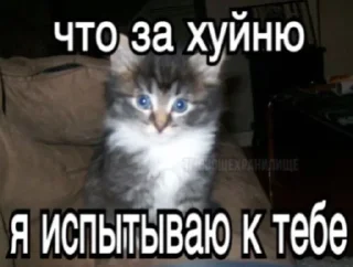 Sticker from какие то надписи..