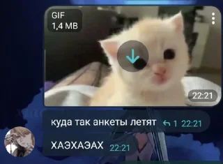 Sticker from мел и ее любмки. уоаоуллауоао
