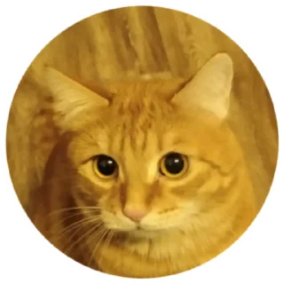 Sticker from Что-то