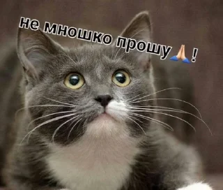 🤧 emoji Фан Ану-ка да-вай-ка Telegram sticker 17 of 47