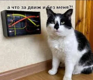 🤠 emoji Фан Ану-ка да-вай-ка Telegram sticker 14 of 47