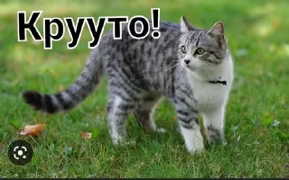 😁 emoji Фан Ану-ка да-вай-ка Telegram sticker 18 of 47