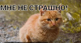 😒 emoji Фан Ану-ка да-вай-ка Telegram sticker 23 of 47