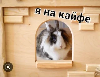 Sticker from Фан Ану-ка да-вай-ка