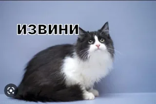 🥺 emoji Фан Ану-ка да-вай-ка Telegram sticker 16 of 47