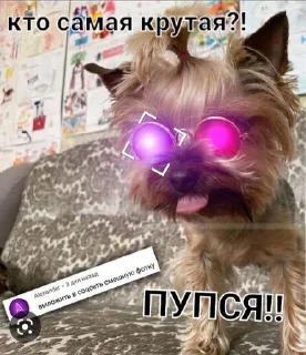 😎 emoji Фан Ану-ка да-вай-ка Telegram sticker 7 of 47