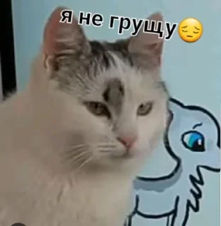 😔 emoji Фан Ану-ка да-вай-ка Telegram sticker 6 of 47