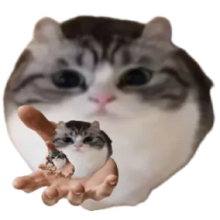 Sticker from Шарик - ебучий © Автор стикерпака