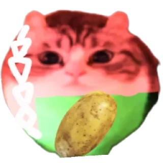 Sticker from Шарик - ебучий © Автор стикерпака