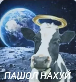 Sticker from ждите докс