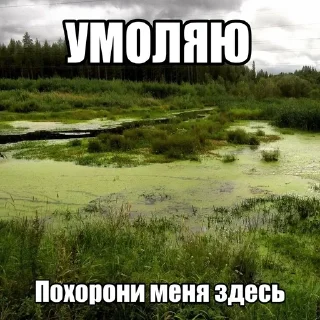Sticker from я улыбаюсь