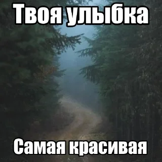 Sticker from я улыбаюсь