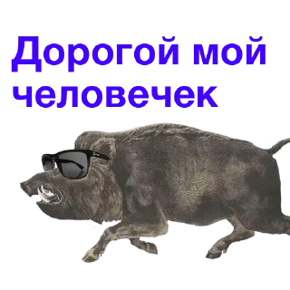 Sticker from LEGION TEAM — @stckrRobot
