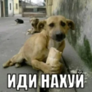 😃 emoji Пак от Госта Telegram sticker 17 of 87