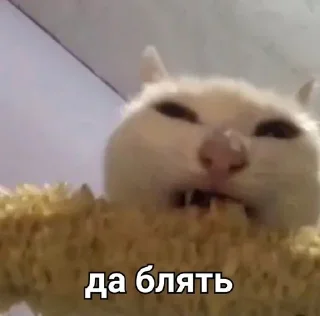 😡 emoji Пак от Госта Telegram sticker 11 of 87