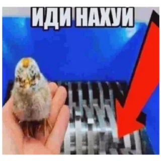 🐦 emoji Велосипе 💀☠️☠️☠️💀💀☠️☠️☠️💀☠️ Telegram sticker 20 of 20