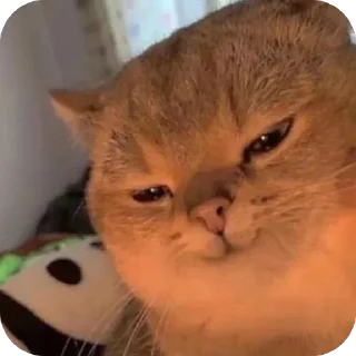 😏 emoji Shit Telegram sticker 10 of 120