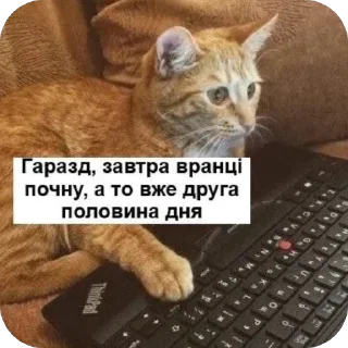 💻 emoji Shit Telegram sticker 18 of 120