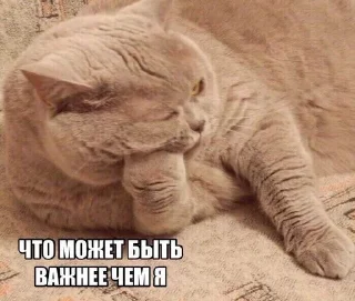 😒 emoji Лучшее Telegram sticker 21 of 114