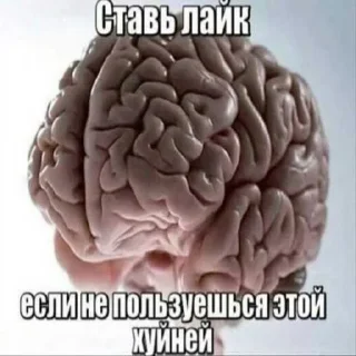 Sticker from стикеры от сашки ➡️@Grom_Suko
