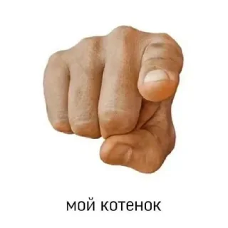 🐱 emoji Кабачковая икра Telegram sticker 9 of 42