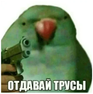 🔫 emoji Кабачковая икра Telegram sticker 15 of 42