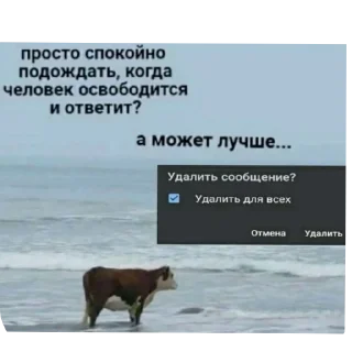 Пупупу sticker 4
