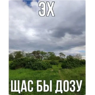 😔 emoji джесс 2 Telegram sticker 14 of 104