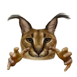👐 emoji Big Floppa @homolvdens Telegram sticker 18 of 69