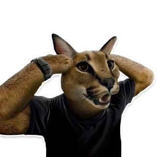 😱 emoji Big Floppa @homolvdens Telegram sticker 19 of 69